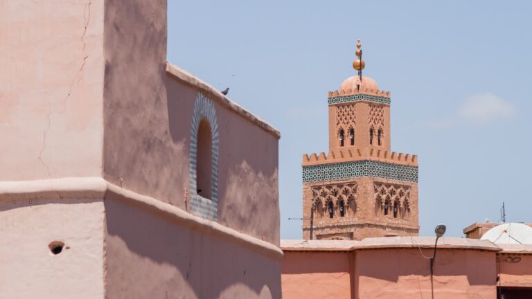 czerwone budynki marrakesz w tle meczet