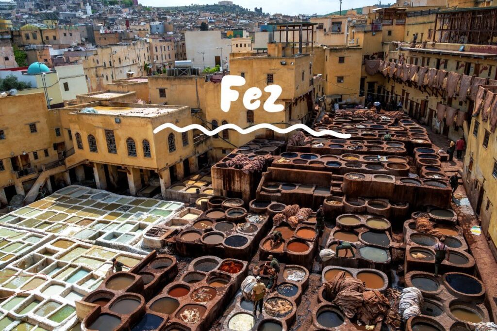 garbarnia chouara fez